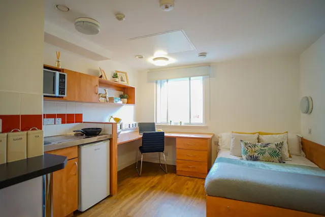 Platinum Studio room image 8