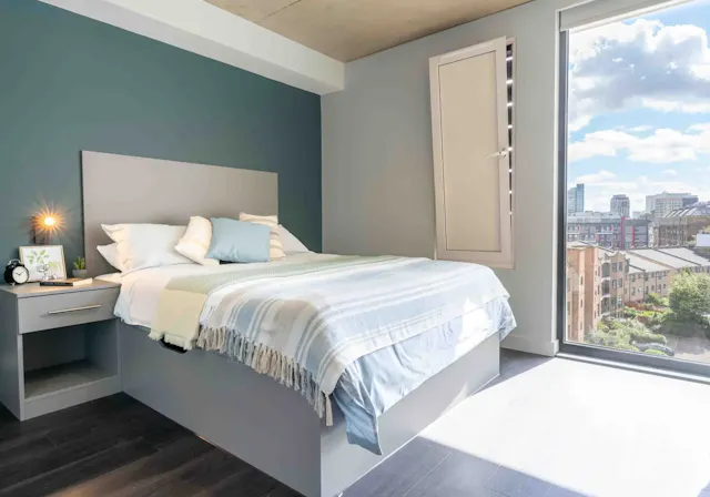Platinum Studio Deluxe room image 2