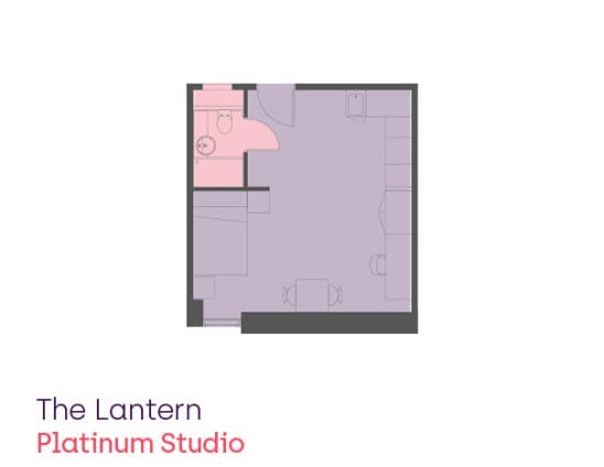 Platinum Studio 
