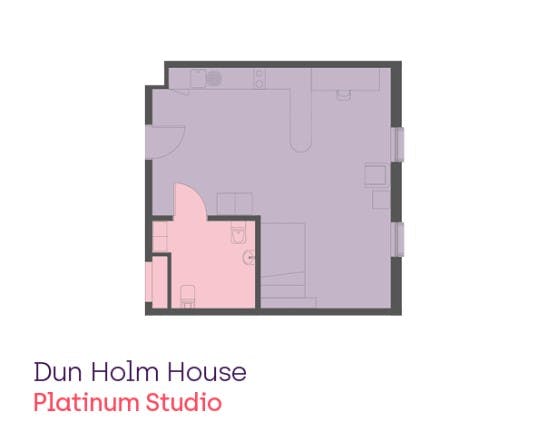 Platinum Studio