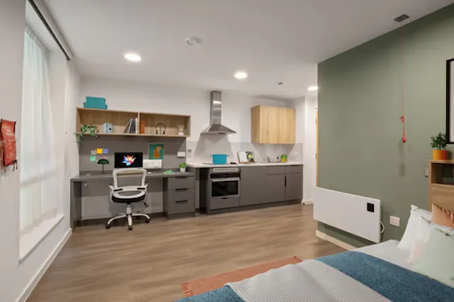 Platinum Studio Lower Level room image 3