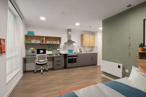 Platinum Studio Mid Level room image 3