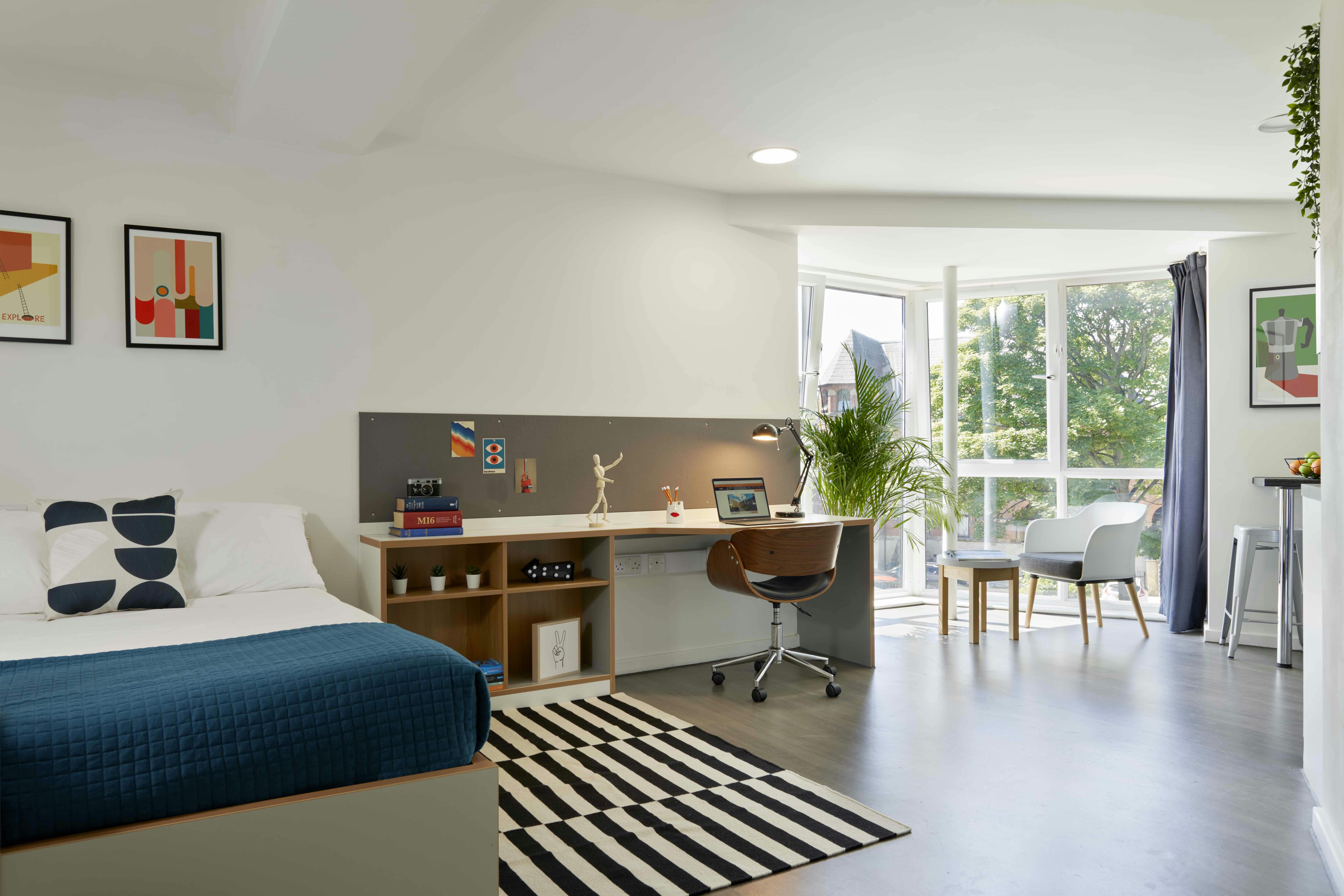 Platinum Studio Plus Accessible