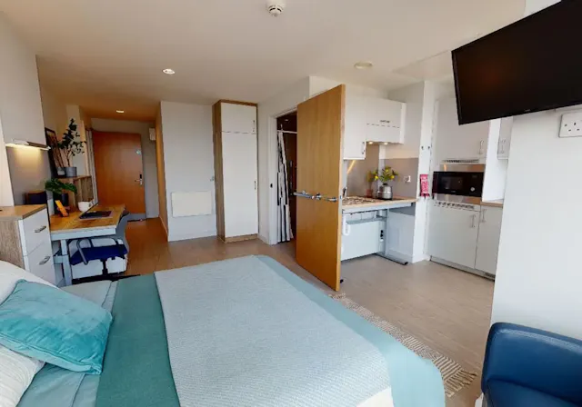 Platinum Studio Plus room image 1