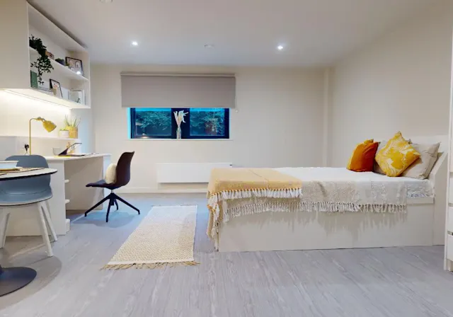 Platinum Studio Plus room image 2