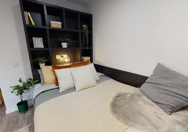 Platinum Studio Plus room image 2