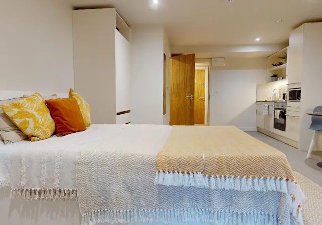 Platinum Studio Plus room image 1