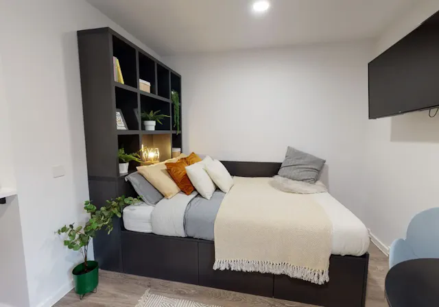 Platinum Studio Plus room image 1
