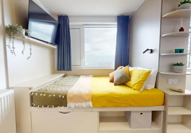 Platinum Studio Plus room image 1