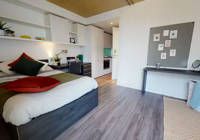 Platinum Studio Premium room image 2