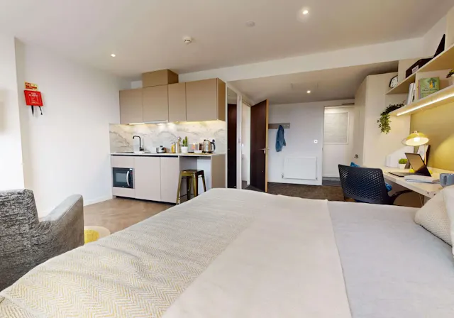 Platinum Studio Premium room image 3