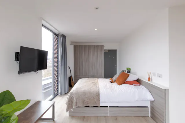 Platinum Studio  room image 1