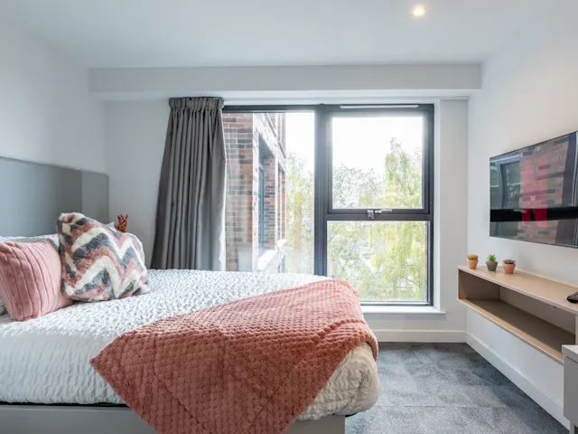 Platinum Studio River View room image 1