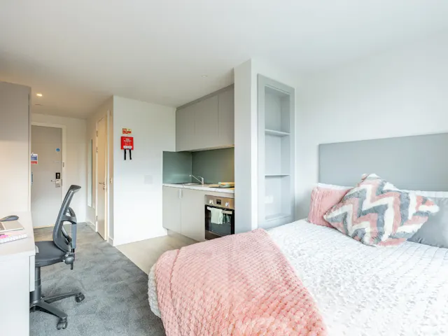 Platinum Studio River View room image 2