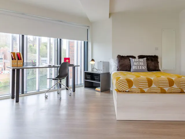Platinum Studio River View room image 1