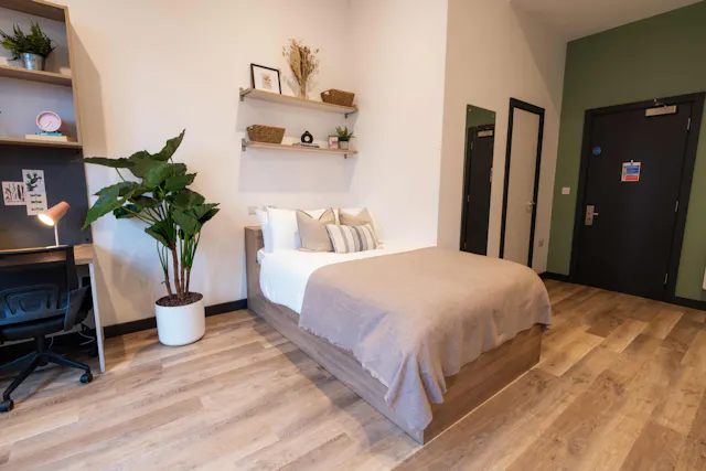 Platinum Studio room image 1