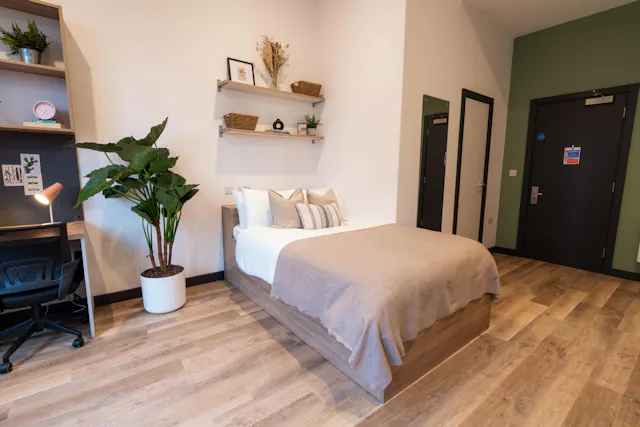 Platinum Studio  room image 1