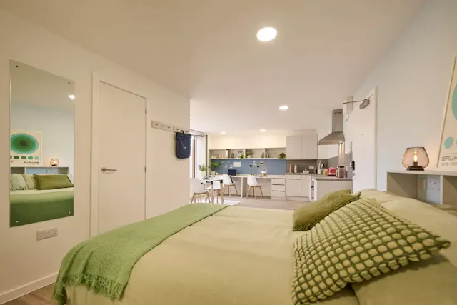 Platinum Studio  room image 1