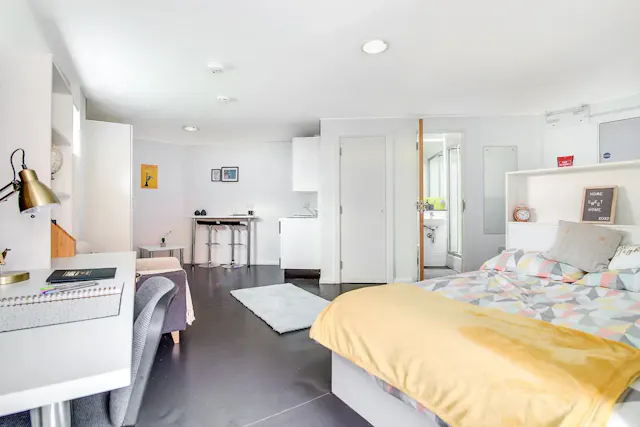Platinum Studio  room image 1