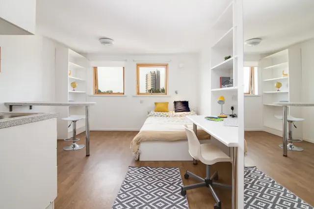 Platinum Studio  room image 2