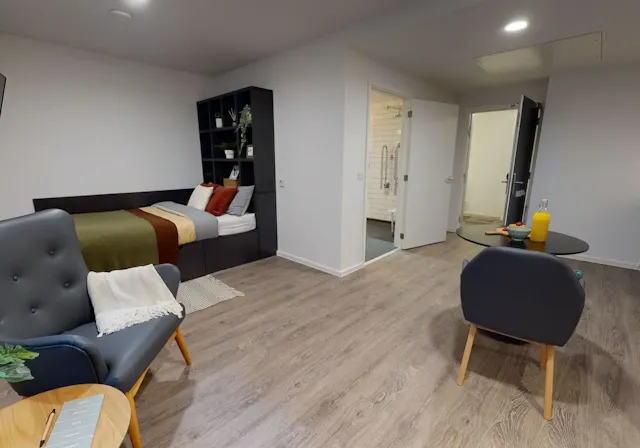 Platinum Studio room image 4