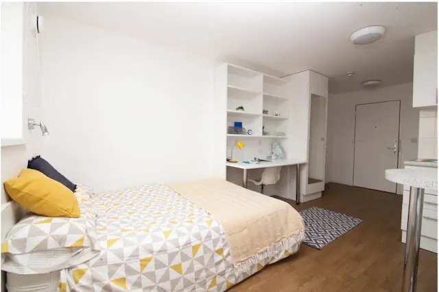Platinum Studio  room image 1