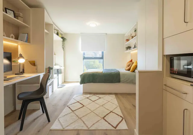 Platinum Studio  room image 1