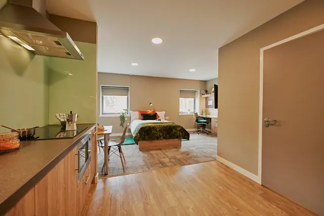 Platinum Studio room image 1