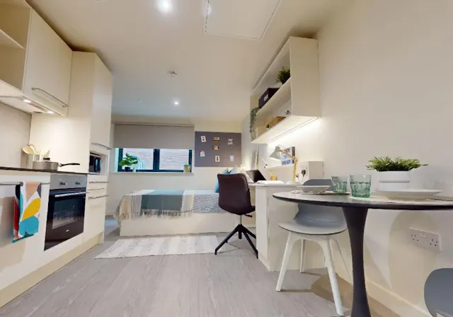 Platinum Studio room image 2