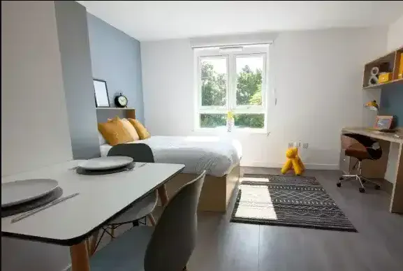 Platinum Studio room image 2