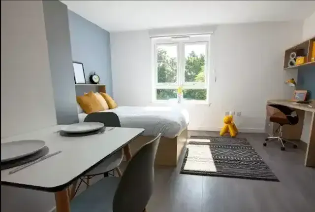 Platinum Studio  room image 2