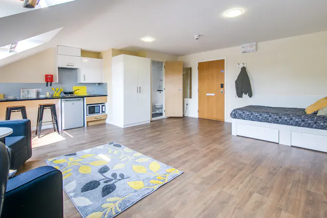 Platinum Studio Plus room image 1