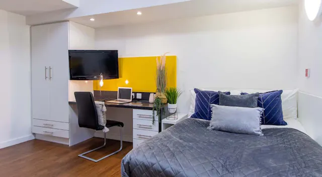 Platinum Studio  room image 1