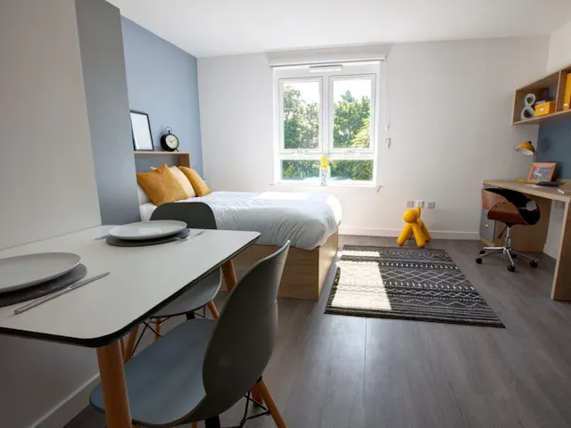 Platinum Studio room image 1