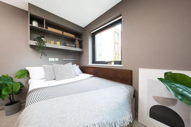 Platinum Studio  room image 2