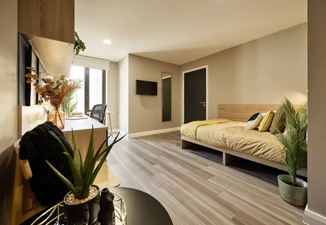Platinum Studio room image 1