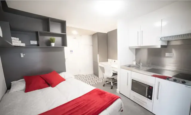 Platinum Studio  room image 1