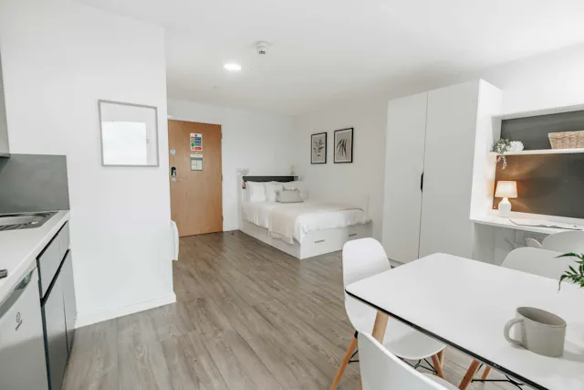 Platinum Studio room image 2