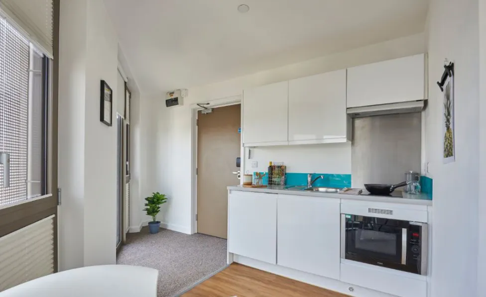 Platinum Penthouse KITCHEN 3