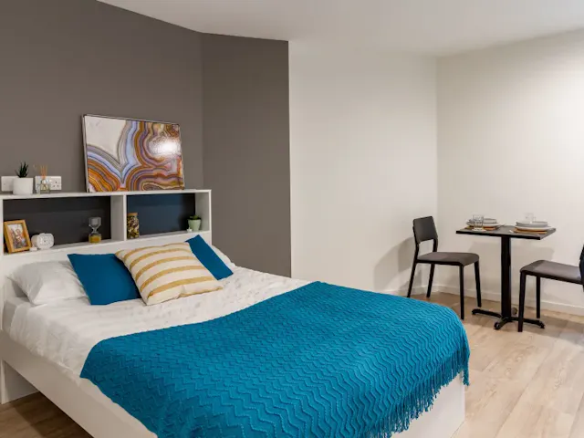 Platinum Plus Studio  room image 1
