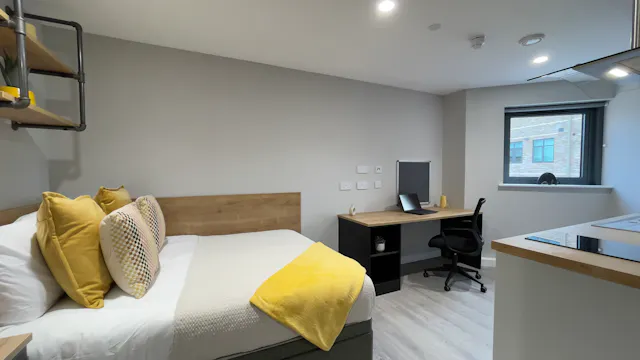 Platinum Studio  room image 1