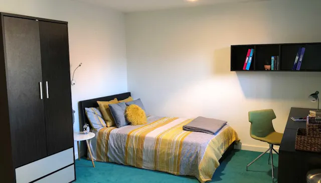 Premier Luxe Studio room image 1