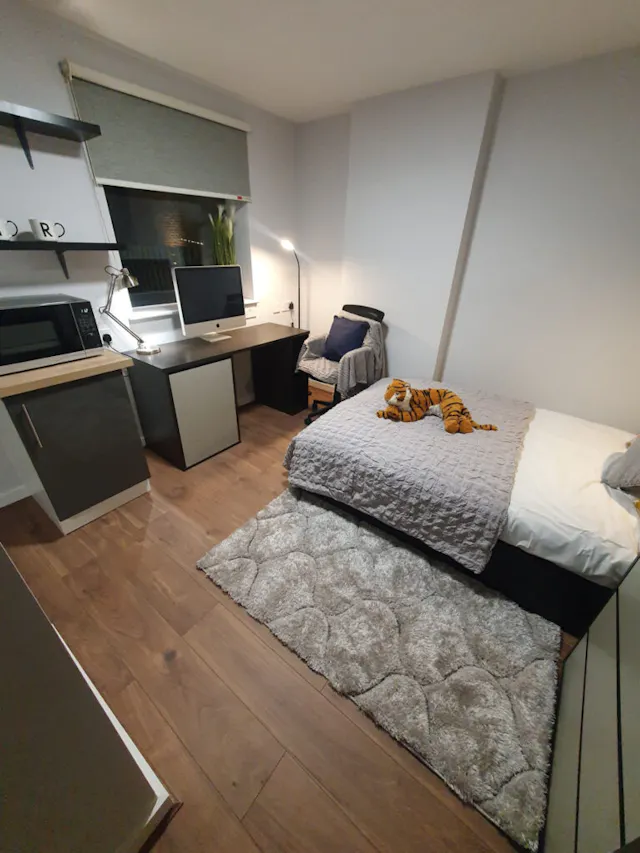 Premier Plus Studio room image 1