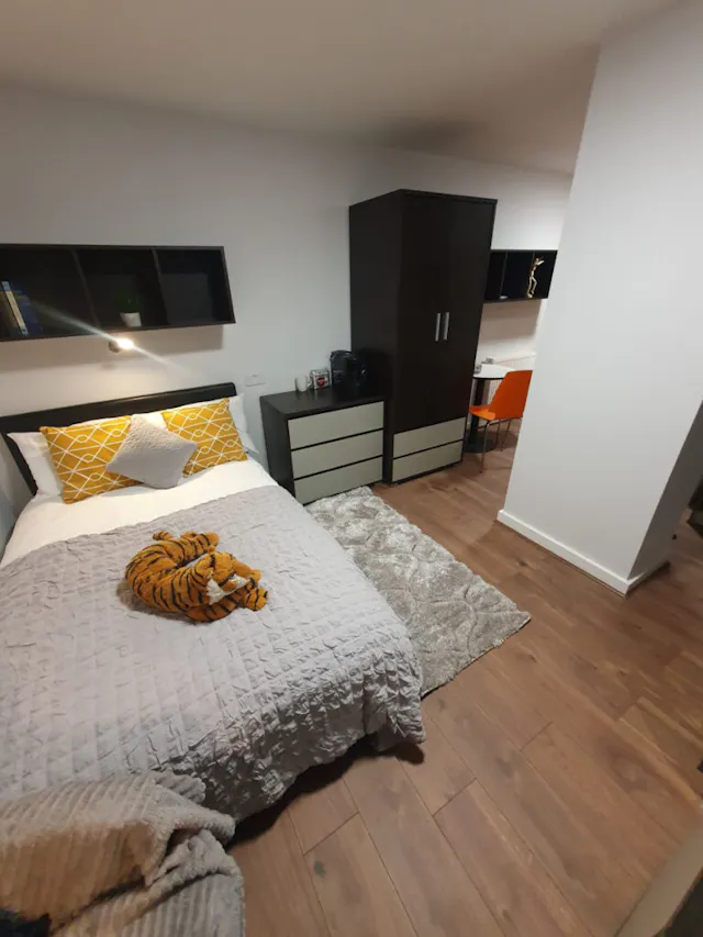 Premier Plus Studio room image 2