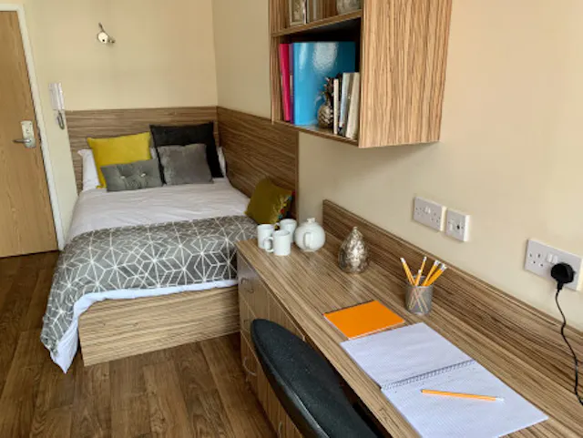 Premier Skylight En-suite room image 1