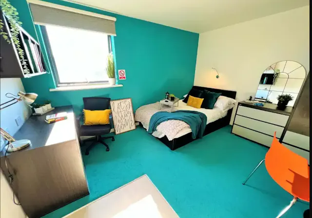 Premier Studio room image 2