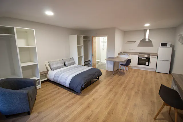 Premier Plus Studio room image 1