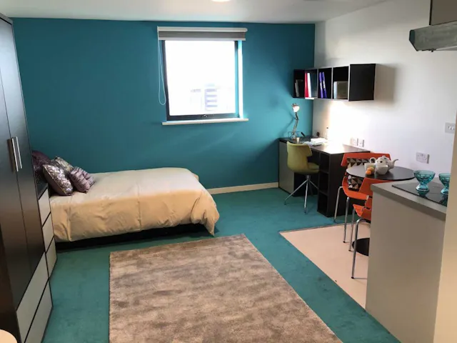 Premier Studio room image 1