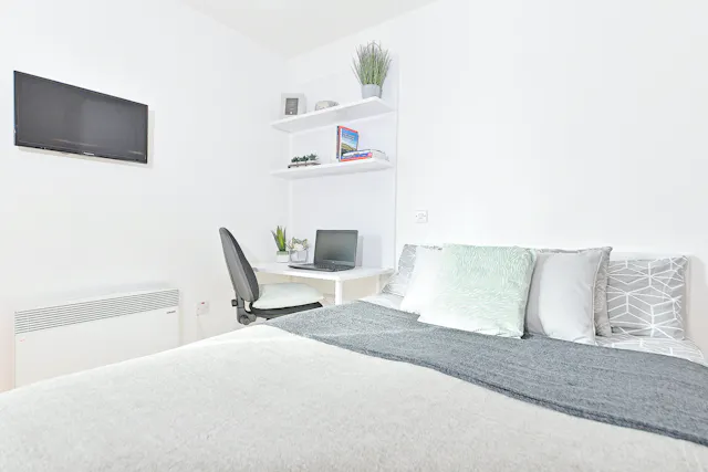 Premier Studio room image 1