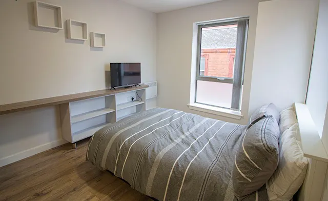 Premier Studio room image 2